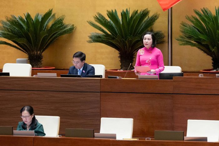 Phó Chủ tịch Quốc hội Nguyễn Thị Thanh điều hành phiên họp.