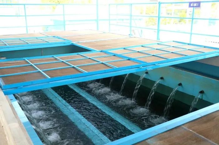 TPHCM 100% hộ dân nông thôn sử dụng nước hợp vệ sinh. Ảnh: QUỐC HÙNG