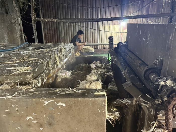  Số động vật đã giết mổ được lực lượng chức năng xử lý nhiệt và chuyển mục đích sử dụng 