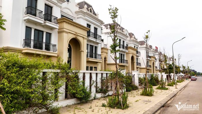 Cảnh quan nhếch nhác tại một số khu vực do thiếu người quản lý, chăm sóc.