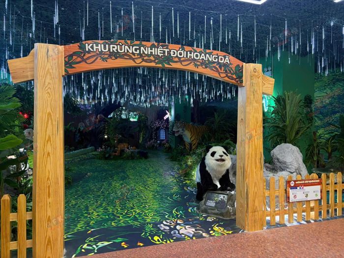 Khu rừng nhiệt đới - Thế giới muôn loài.