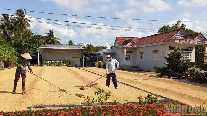 Với những bước đi căn cơ, dài hơi từ chính quyền và các đơn vị chức năng, nhà nông Cà Mau kỳ vọng sẽ sống khỏe nhờ "hạt ngọc trời" gieo trồng trên chính mảnh đất quê hương.