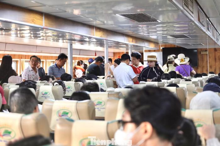 Dịp này, giá vé tàu cao tốc từ Phan Thiết đi Phú Quý dao động 340.000 - 450.000 đồng/lượt đối với người lớn, tùy loại ghế hoặc giường nằm; trẻ em và người cao tuổi được giảm giá theo quy định.