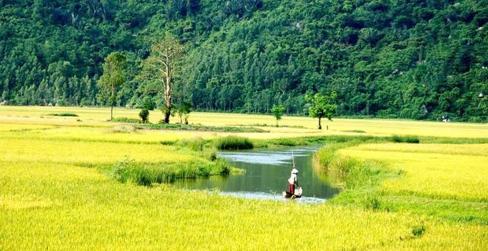 Bối cảnh làng quê thanh bình, giản dị ở Phú Yên là một điểm nhấn trong “Ngày xưa có một chuyện tình”. Ảnh: CJ HK Entertainment