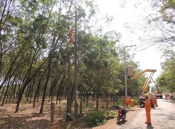 Lịch cắt điện Đồng Nai ngày mai 29/4 cập nhật mới nhất. Nguồn ảnh: pcdongnai.vn