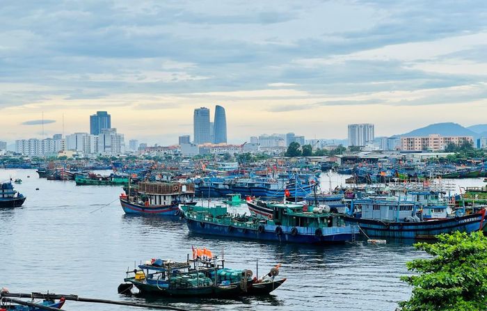 Thành phố có 4.058 tàu cá, 100% được đăng ký, cấp phép và cập nhật vào cơ sở dữ liệu nghề cá quốc gia.