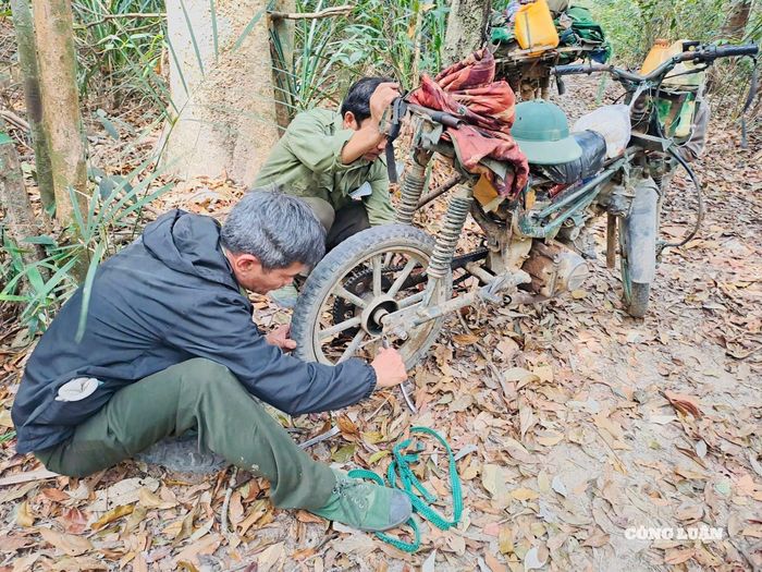 Sau những giờ lênh đênh trên sông, lực lượng bảo vệ rừng phải "cuốc bộ" hoặc sử dụng xe độ chế bươn qua những cánh rừng tuần tra, kiểm soát