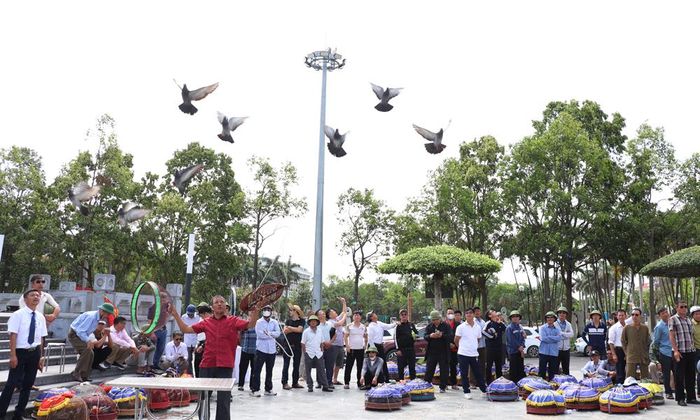  Nghệ nhân mở lồng thả chim bồ câu dự thi. 