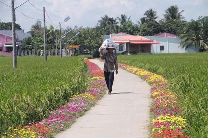 Diện mạo vùng đồng bào Khmer ở Tây Nam Bộ ngày càng khởi sắc. Ảnh tư liệu