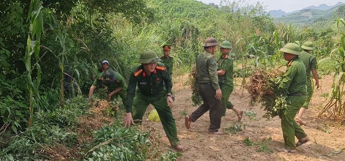Công an xã Trường Sơn hỗ trợ bà con thu hoạch lạc