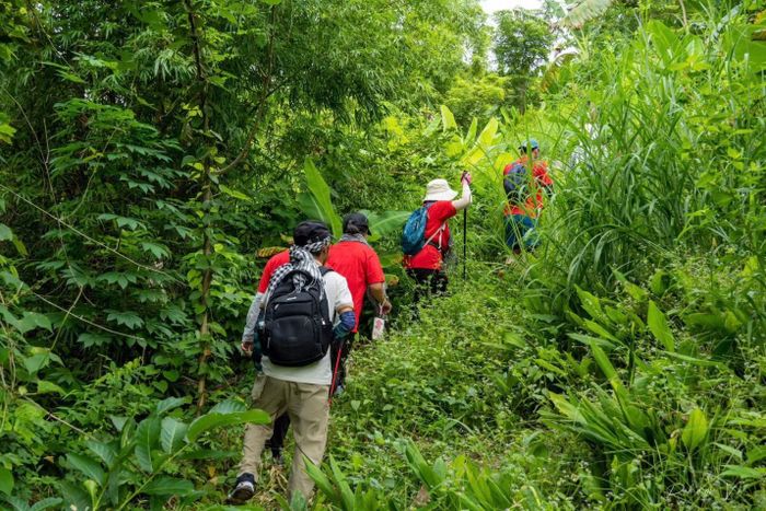 Những đôi chân trekking miệt mài muốn chạm vào hệ sinh thái bản nguyên. (Ảnh: Dương Việt Anh)
