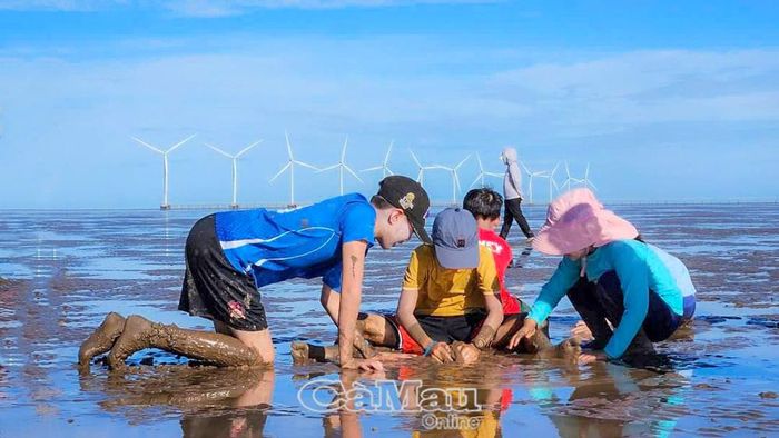 Trải nghiệm bắt nghêu trên bãi bồi.