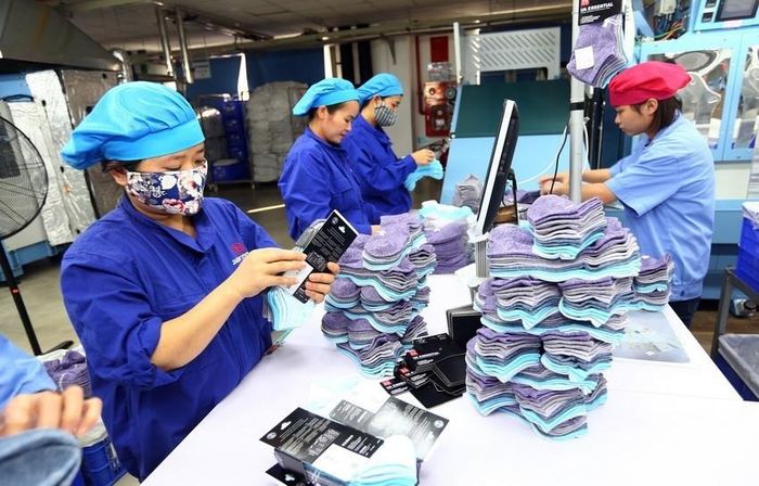 Công nhân sản xuất tất xuất khẩu tại Công ty TNHH Jasan Việt Nam, tại Khu công nghiệp VSIP, Hải Phòng. Ảnh: Danh Lam – TTXVN