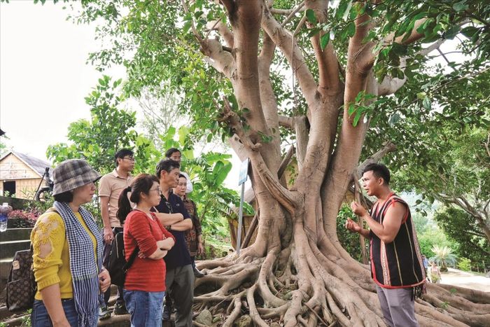 Anh Đinh Mỡi kể về truyền thống cách mạng làng Stơr cho du khách đến thăm quan làng (ảnh H.N)