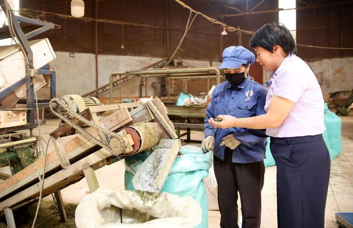 Công ty Cổ phần Đầu tư phát triển chè Tam Đường đầu tư máy móc hiện đại nhằm tăng năng suất lao động và giảm tiếng ồn.
