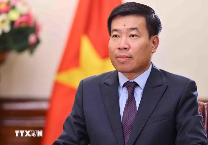 Thứ trưởng Bộ Ngoại giao Nguyễn Mạnh Cường. Ảnh: TTXVN 