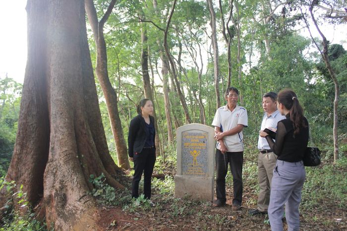 Khu rừng K’mrơng Prông được gắn biển Bảo vệ cây đầu nguồn bến nước từ năm 2015