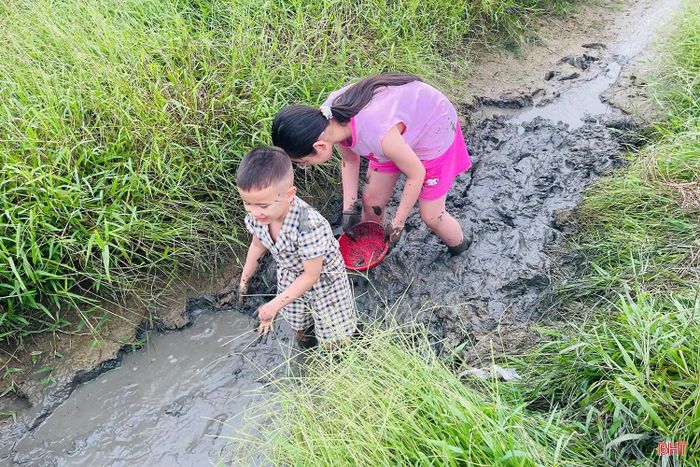  “Mỗi lần về được bố đưa ra đồng bắt cá, xem bà con nông dân gặt lúa cháu rất thích và có nhiều kỷ niệm. Ở thành phố cháu khó có được những trải nghiệm như thế này” - em Phạm Nguyễn Bảo Châu (áo đỏ, phường Thành Sen) chia sẻ. 