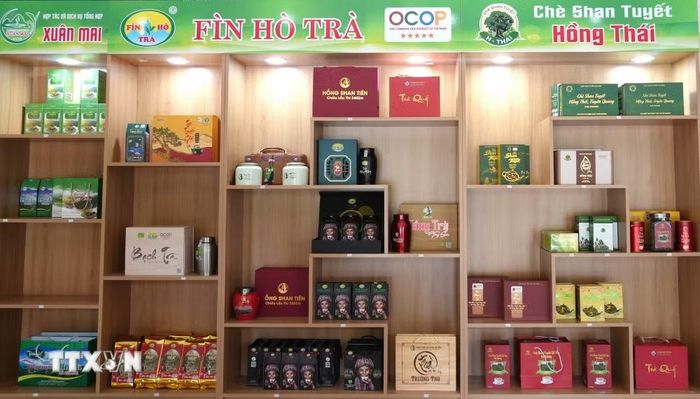 Các sản phẩm trà OCOP của tỉnh Tuyên Quang được trưng bày tại điểm giới thiệu sản phẩm, trong đó có trà Shan tuyết Hồng Thái và Fìn Hò Trà - những sản phẩm trà của Tuyên Quang đã đạt OCOP 5 sao quốc gia. (Ảnh: Minh Tâm/TTXVN)