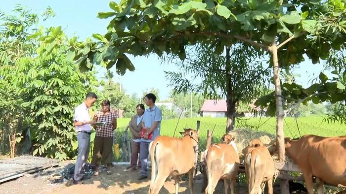  Từ vốn vay Ngân hàng Chính sách xã hội, chị Ksor H’Đa (buôn Sô Ma Hang B, xã Ia Hiao) dần ổn định cuộc sống. Ảnh: M.L 