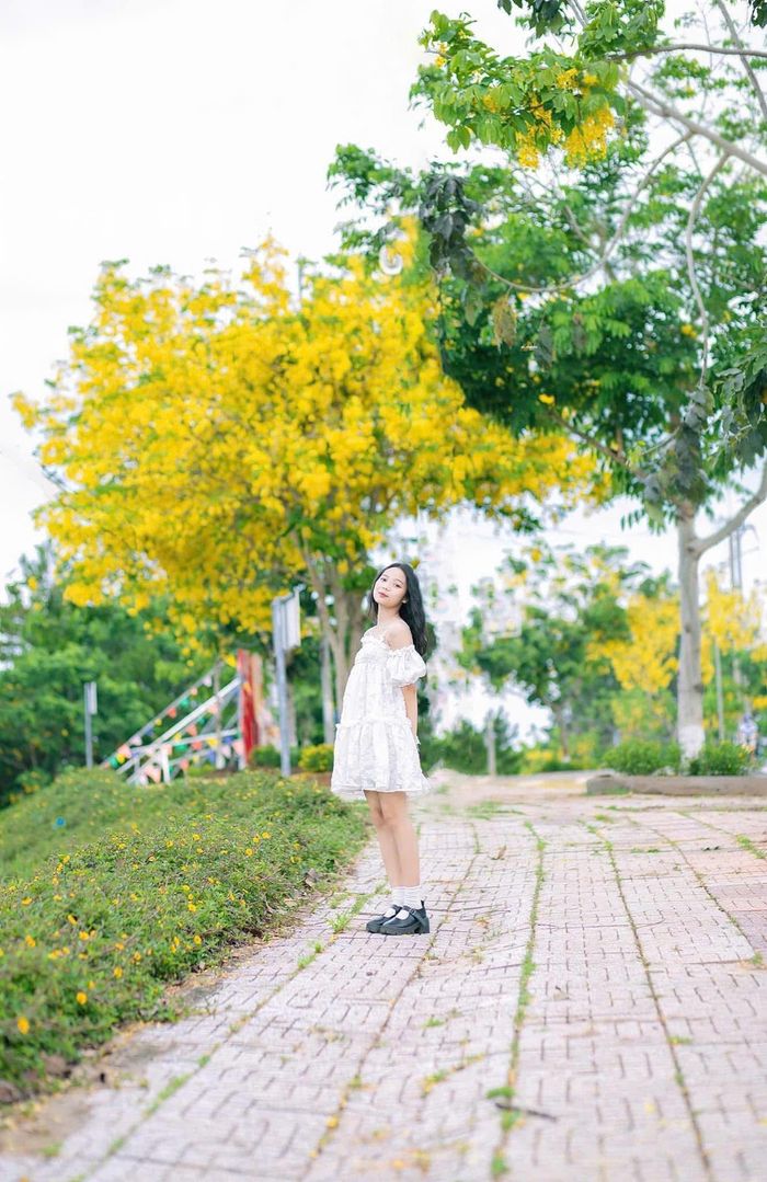 Những ngày gần đây, hoa osaka vàng thu hút người dân đến chụp ảnh, ngắm hoa dịp cuối tuần (Ảnh: Hoài Như)