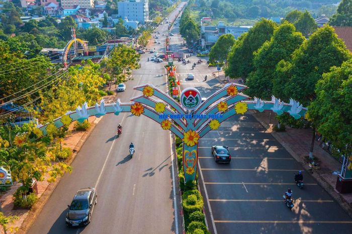 Vào khoảng cuối mùa khô hàng năm, Osaka nở nhuộm vàng những con đường, tạo nên hình ảnh rất đặc trưng cho khu vực Gia Nghĩa