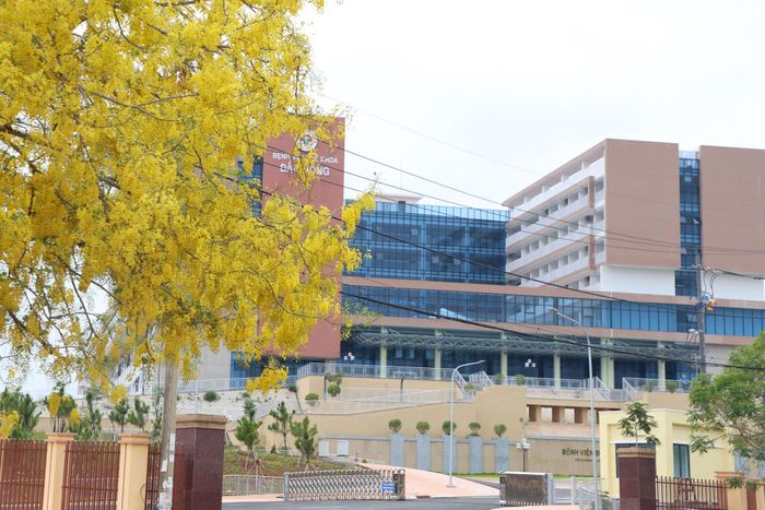 Khi những cây osaka rụng hết lá, chỉ còn trơ trụi cành thì lúc đó những nhánh hoa osaka mới bắt đầu. Cây osaka nở rực rỡ trước cổng Bệnh viện Đa khoa Đắk Nông