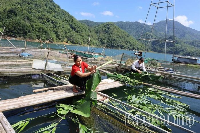 Hộ đồng bào dân tộc thiểu số xã Tiền Phong được thụ hưởng dự án hỗ trợ phát triển sản xuất, đa dạng hóa sinh kế.