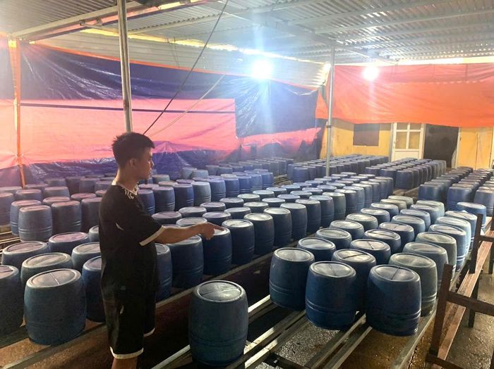 Khu vực nhà xưởng do Nguyễn Văn Tứ làm chủ, dùng chất cấm sản xuất giá đỗ.