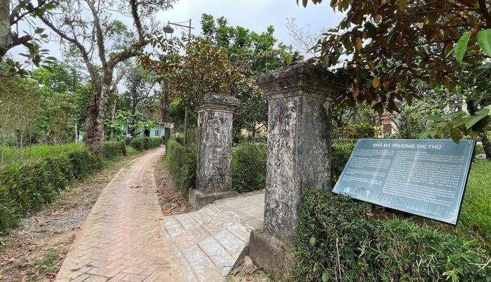 Tường ngăn cách các ngôi nhà là hàng tàu chè xanh ngắt thẳng tắp tạo không gian xanh cho làng cổ Phước Tích
