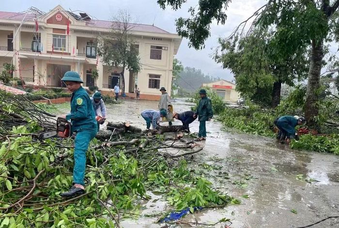 Mưa to kèm dông lốc khiến nhiều diện tích cây nông nghiệp, lâm nghiệp bị thiệt hại.