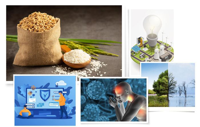 Theo báo cáo 2024 của Diễn đàn Kinh tế Thế giới, các rủi ro hàng đầu toàn cầu gồm: Tấn công mạng; biến đổi khí hậu; khủng hoảng năng lượng; dịch bệnh xuyên quốc gia.