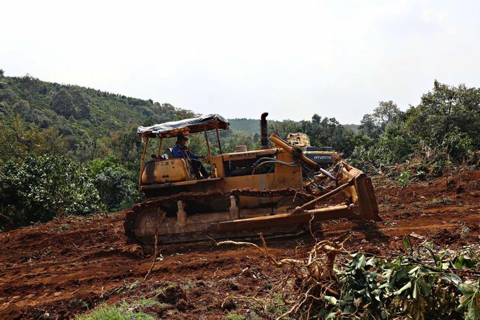 Các đơn vị nhà thầu thi công tuyến cao tốc Bảo Lộc - Liên Khương đang triển khai nhiều mũi thi công