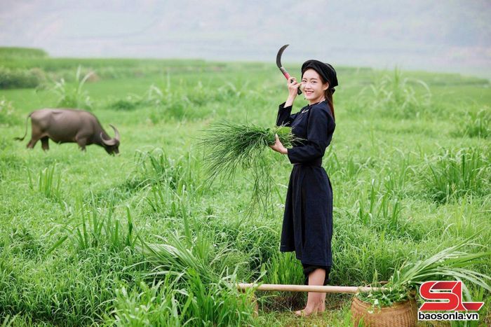 Trải nghiệm làm nông dân.