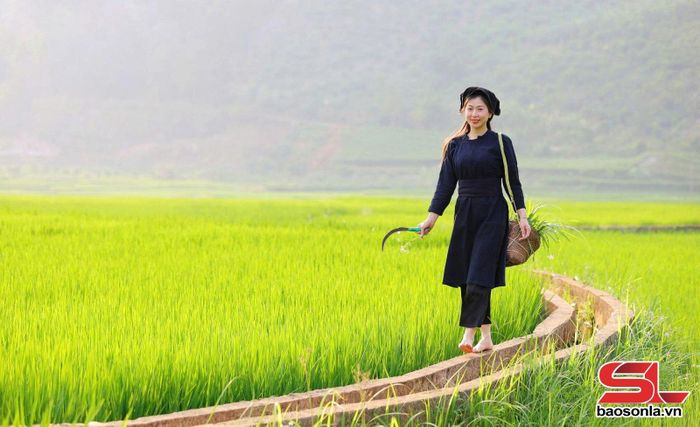Nhiều người dân và du khách đến trải nghiệm, lưu lại những khoảnh khắc đẹp.