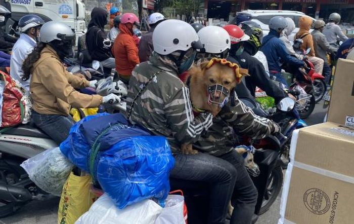 Người dân lỉnh kỉnh đồ đạc trở lại thành phố.