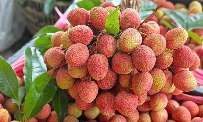 Giá vải “leo đỉnh”, sản lượng lao dốc: Nghịch lý mùa vụ 2026. Ảnh minh họa