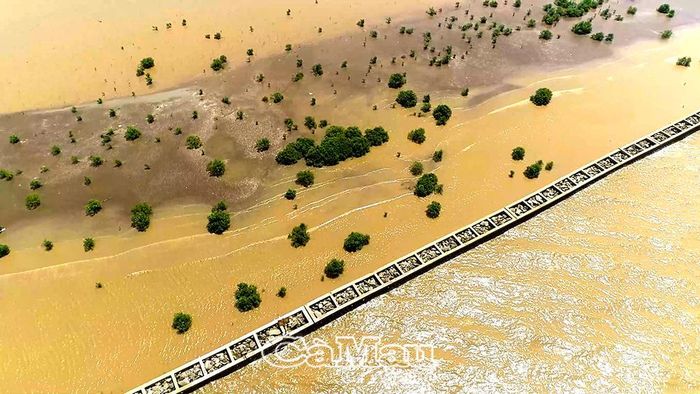 Phù sa bồi lấp ở nhiều khu vực bãi biển thuộc khóm Nhà Mát, phường Hiệp Thành.