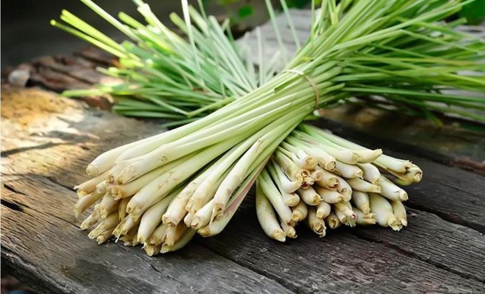 Sả, gừng, chanh là những nguyên liệu tạo hương thơm tự nhiên, rẻ, sẵn có. Ảnh: Intrenet.
