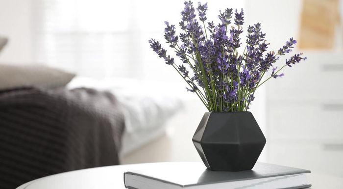 Một lọ hoa oải hương có thể giúp căn phòng thơm tho. Ảnh: Intrenet.