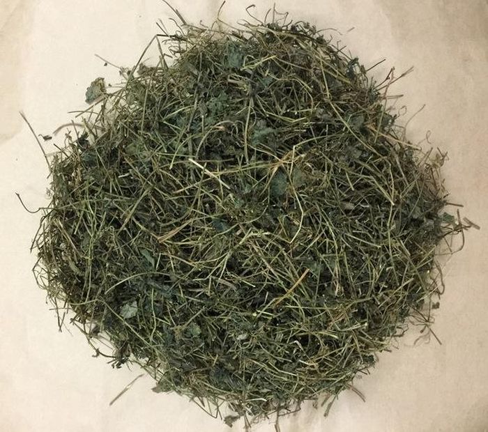 Giảo cổ lam hỗ trợ giảm cholesterol.