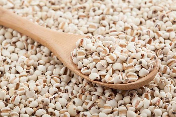 Ý dĩ kiện tỳ, lợi thấp, hỗ trợ giảm tích tụ mỡ.