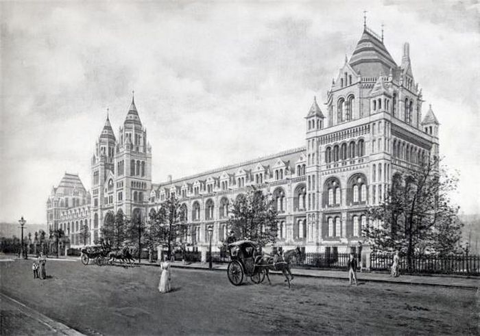 Bảo tàng Lịch sử tự nhiên London - nơi lưu giữ và nghiên cứu các mẫu vật Piltdown trong nhiều thập niên.