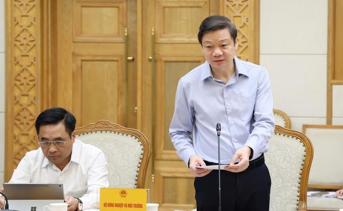 Cục trưởng Cục Lâm nghiệp và Kiểm lâm (Bộ NN&amp;MT) Trần Quang Bảo báo cáo tại cuộc họp - Ảnh: VGP/Gia Huy