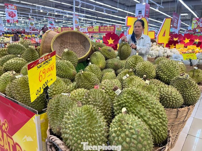 Sầu riêng ở siêu thị giá cũng khác nhau tùy theo tiêu chuẩn, chất lượng.