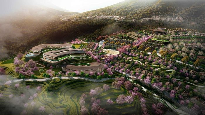  Đồi chè Ô Quý Hồ và mai anh đào được bảo tồn, tái sinh trong lòng Eco Sapa. Ảnh phối cảnh