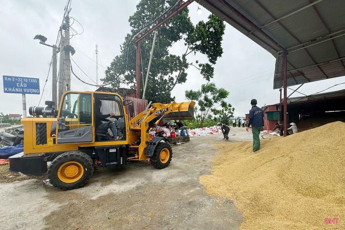 Tại cơ sở sấy lúa của ông Nguyễn Xuân Chính (xã Can Lộc), trong sáng 4/5, đơn vị đã huy động tối đa nhân lực thu mua, nâng công suất sấy lên khoảng 150 tấn/ngày để hỗ trợ người dân tiêu thụ lúa. Cơ sở cũng áp dụng mức giá thu mua cao hơn thị trường nhằm chia sẻ khó khăn với bà con. Theo đó, lúa tươi được thu mua với giá 5.400 – 5.500 đồng/kg, cao hơn mức khoảng 5.300 đồng/kg khi người dân vận chuyển đến điểm tập kết và khoảng 5.000 đồng/kg nếu thu mua tại chân ruộng.