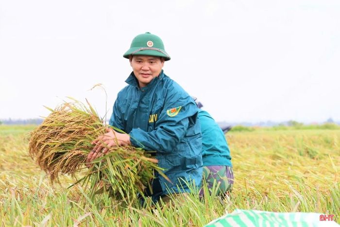  Đại úy Lê Văn Nam - nhân viên quân lực, Ban Chỉ huy Quân sự xã Đông Kinh chia sẻ: "Trong sáng 4/5, chúng tôi đã hỗ trợ người dân thu hoạch hơn 1 mẫu lúa và hiện vẫn đang tiếp tục. Các chiến sĩ cùng bà con khẩn trương gặt, vận chuyển lúa đến nơi khô ráo, góp phần giảm thiểu thiệt hại, giúp người dân sớm ổn định sản xuất". 