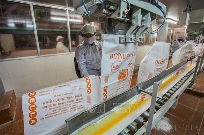 Dây chuyền sản xuất đường tinh luyện (RE) tại nhà máy của Công ty TNHH Công nghiệp KCP Việt Nam (100% vốn đầu tư của Ấn Độ), tỉnh Đắk Lắk. Ảnh tư liệu: Trọng Đạt/TTXVN