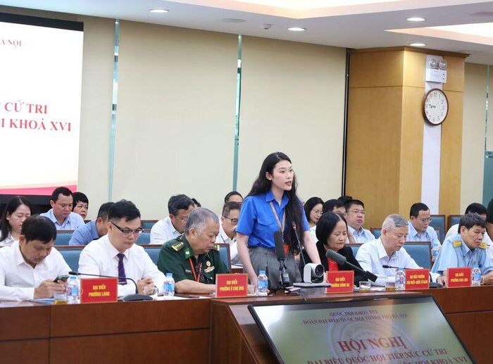 Đại diện cử tri phát biểu tại hội nghị.